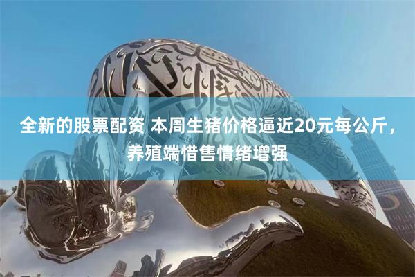 全新的股票配资 本周生猪价格逼近20元每公斤,养殖端惜售情绪增强