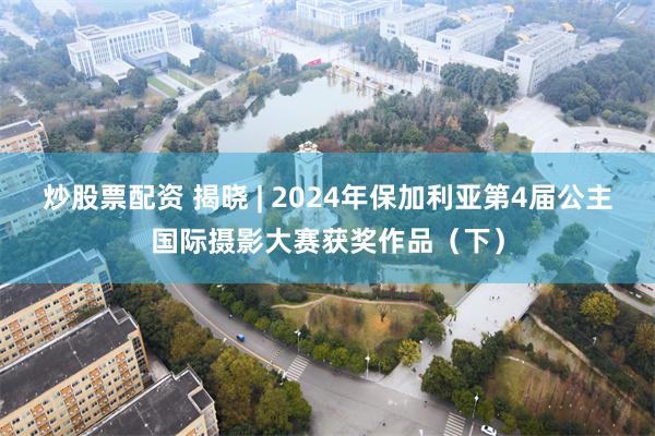 炒股票配资 揭晓 | 2024年保加利亚第4届公主国际摄影大赛获奖作品(下)
