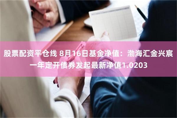 股票配资平仓线 8月16日基金净值:渤海汇金兴宸一年定开债券发起最新净值1.0203