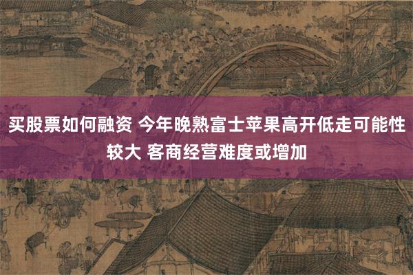 买股票如何融资 今年晚熟富士苹果高开低走可能性较大 客商经营难度或增加