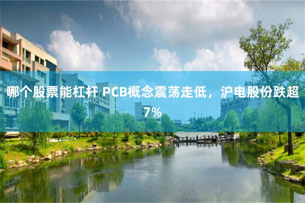 哪个股票能杠杆 PCB概念震荡走低，沪电股份跌超7%