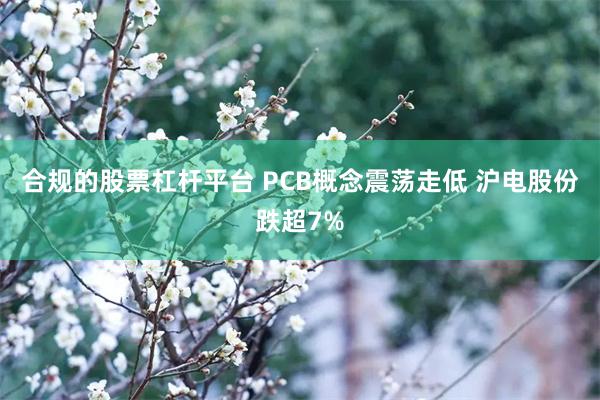 合规的股票杠杆平台 PCB概念震荡走低 沪电股份跌超7%