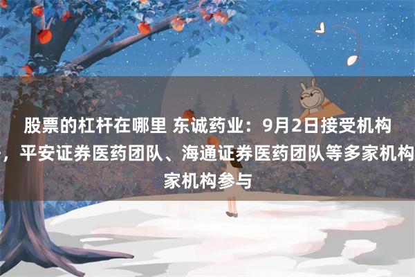 股票的杠杆在哪里 东诚药业：9月2日接受机构调研，平安证券医药团队、海通证券医药团队等多家机构参与