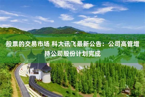 股票的交易市场 科大讯飞最新公告：公司高管增持公司股份计划完成