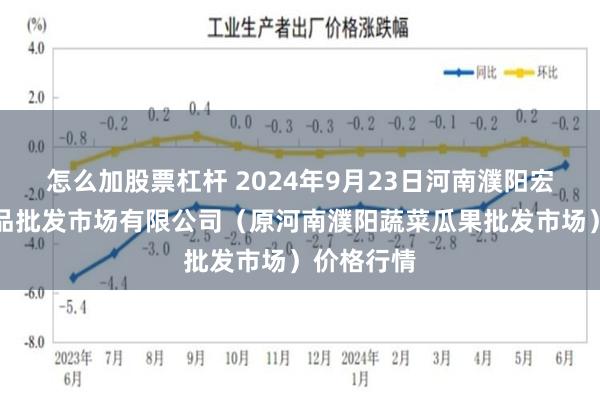 怎么加股票杠杆 2024年9月23日河南濮阳宏进农副产品批发市场有限公司（原河南濮阳蔬菜瓜果批发市场）价格行情