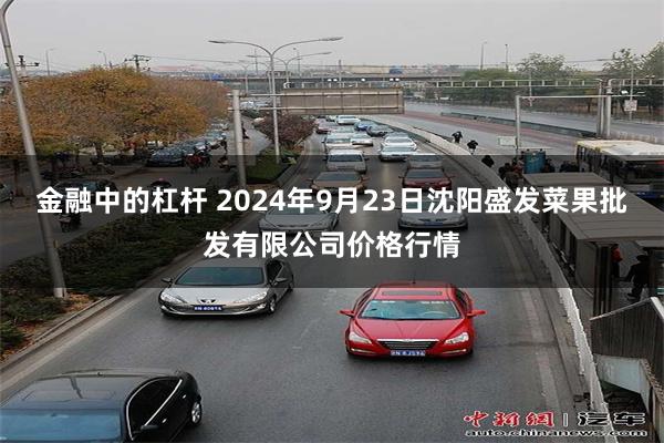 金融中的杠杆 2024年9月23日沈阳盛发菜果批发有限公司价格行情