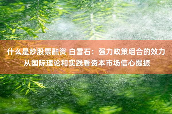 什么是炒股票融资 白雪石：强力政策组合的效力 从国际理论和实践看资本市场信心提振