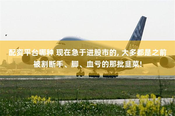 配资平台哪种 现在急于进股市的, 大多都是之前被割断手、脚、血亏的那批韭菜!