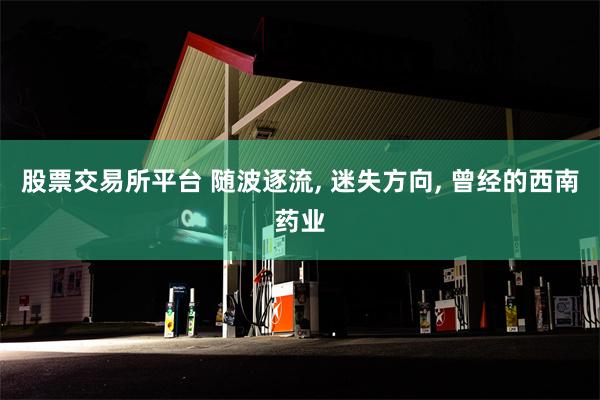 股票交易所平台 随波逐流, 迷失方向, 曾经的西南药业