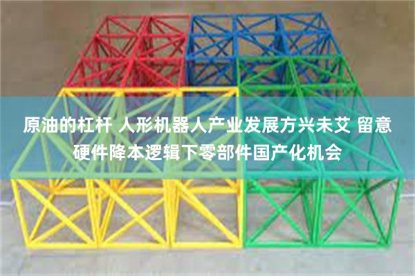 原油的杠杆 人形机器人产业发展方兴未艾 留意硬件降本逻辑下零部件国产化机会