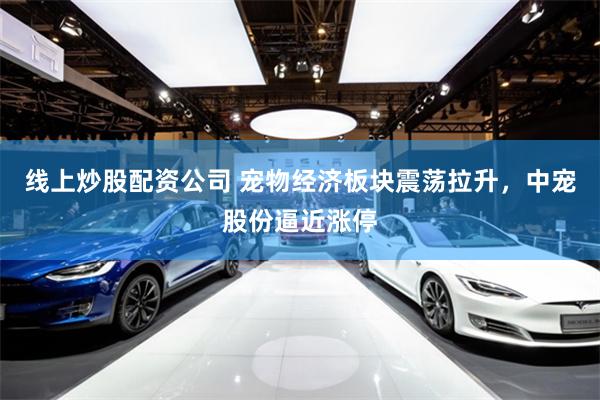 线上炒股配资公司 宠物经济板块震荡拉升，中宠股份逼近涨停