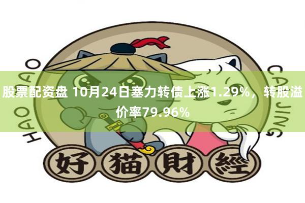 股票配资盘 10月24日塞力转债上涨1.29%，转股溢价率79.96%