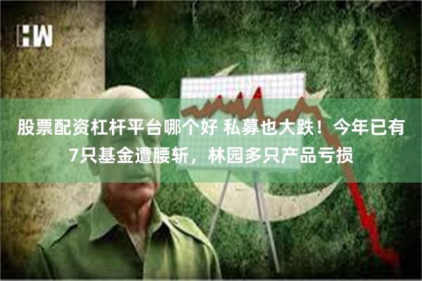 股票配资杠杆平台哪个好 私募也大跌！今年已有7只基金遭腰斩，林园多只产品亏损