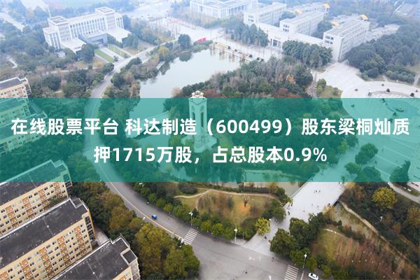在线股票平台 科达制造（600499）股东梁桐灿质押1715万股，占总股本0.9%