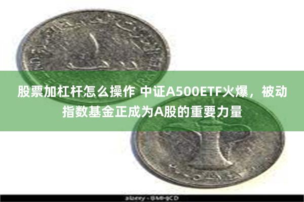 股票加杠杆怎么操作 中证A500ETF火爆，被动指数基金正成为A股的重要力量
