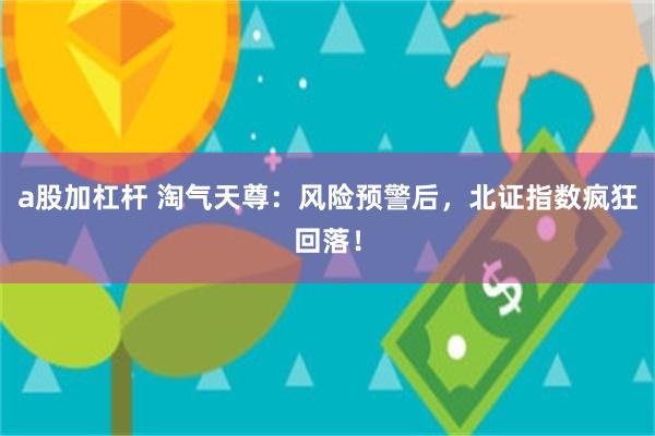 a股加杠杆 淘气天尊：风险预警后，北证指数疯狂回落！
