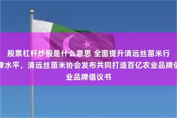 股票杠杆炒股是什么意思 全面提升清远丝苗米行业自律水平，清远丝苗米协会发布共同打造百亿农业品牌倡议书