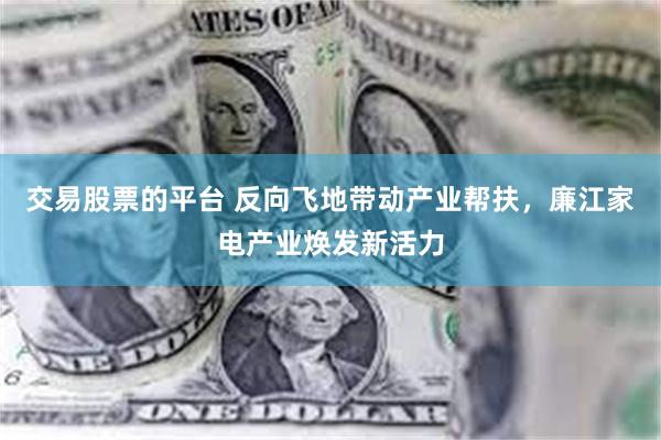 交易股票的平台 反向飞地带动产业帮扶，廉江家电产业焕发新活力