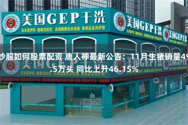 炒股如何股票配资 唐人神最新公告：11月生猪销量49.5万头 同比上升46.15%