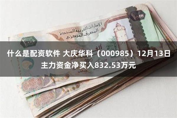 什么是配资软件 大庆华科(000985)12月13日主力资金净买入832.53万元