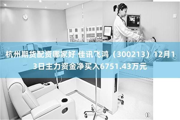 杭州期货配资哪家好 佳讯飞鸿（300213）12月13日主力资金净买入6751.43万元