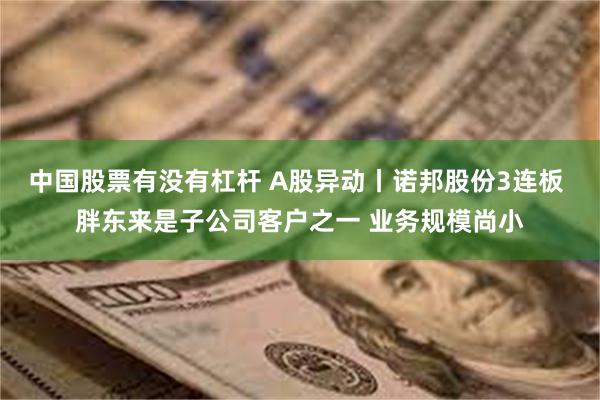 中国股票有没有杠杆 A股异动丨诺邦股份3连板 胖东来是子公司客户之一 业务规模尚小