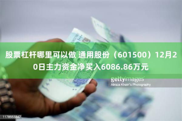 股票杠杆哪里可以做 通用股份（601500）12月20日主力资金净买入6086.86万元