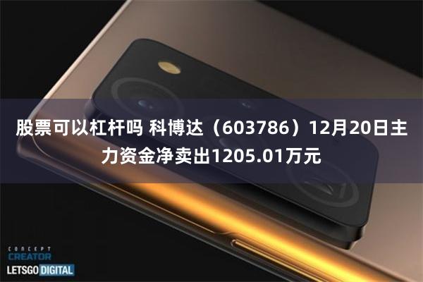 股票可以杠杆吗 科博达（603786）12月20日主力资金净卖出1205.01万元