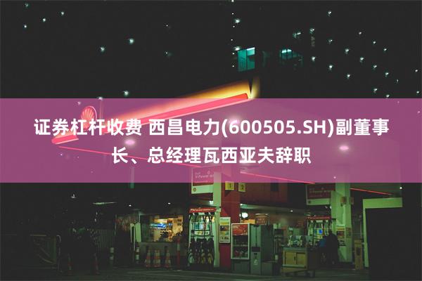 证券杠杆收费 西昌电力(600505.SH)副董事长、总经理瓦西亚夫辞职