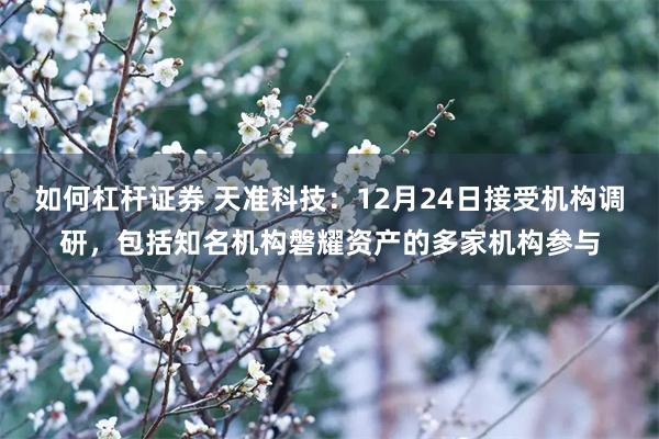 如何杠杆证券 天准科技:12月24日接受机构调研,包括知名机构磐耀资产的多家机构参与