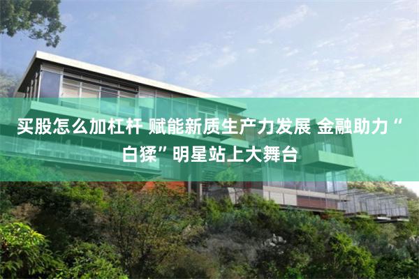 买股怎么加杠杆 赋能新质生产力发展 金融助力“白猱”明星站上大舞台