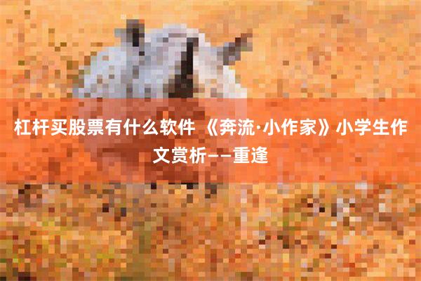 杠杆买股票有什么软件 《奔流·小作家》小学生作文赏析——重逢
