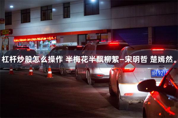 杠杆炒股怎么操作 半梅花半飘柳絮—宋明哲 楚嫣然。
