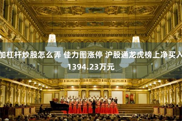 加杠杆炒股怎么弄 佳力图涨停 沪股通龙虎榜上净买入1394.23万元