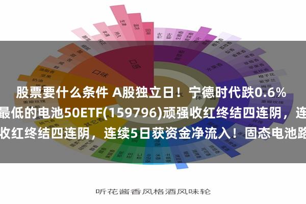 股票要什么条件 A股独立日！宁德时代跌0.6% 同类规模最大、费率最低的电池50ETF(159796)顽强收红终结四连阴，连续5日获资金净流入！固态电池路至何方？