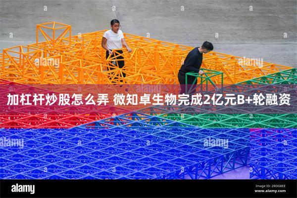 加杠杆炒股怎么弄 微知卓生物完成2亿元B+轮融资