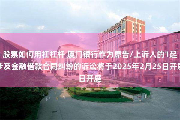 股票如何用杠杠杆 厦门银行作为原告/上诉人的1起涉及金融借款合同纠纷的诉讼将于2025年2月25日开庭