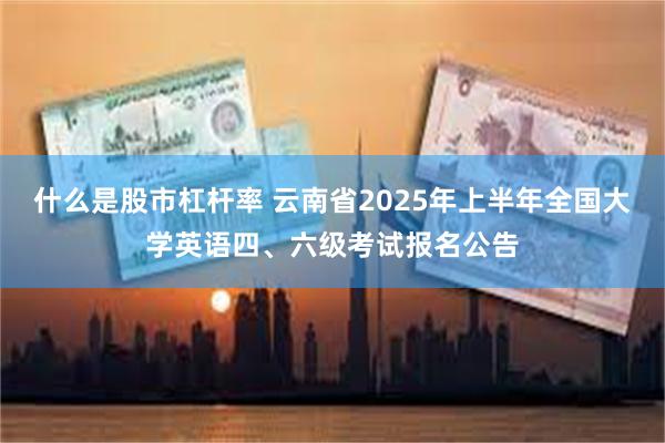 什么是股市杠杆率 云南省2025年上半年全国大学英语四、六级考试报名公告
