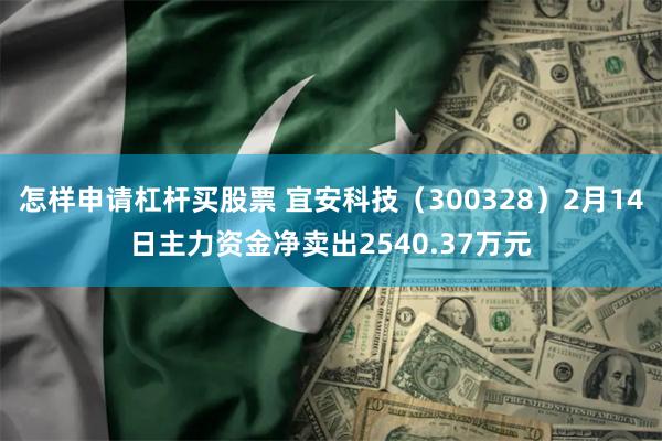 怎样申请杠杆买股票 宜安科技(300328)2月14日主力资金净卖出2540.37万元