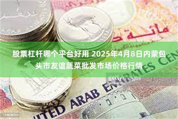 股票杠杆哪个平台好用 2025年4月8日内蒙包头市友谊蔬菜批发市场价格行情