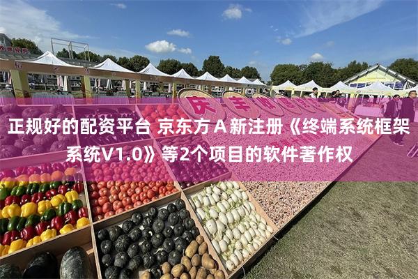 正规好的配资平台 京东方Ａ新注册《终端系统框架系统V1.0》等2个项目的软件著作权