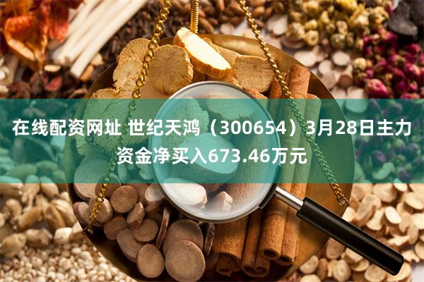 在线配资网址 世纪天鸿（300654）3月28日主力资金净买入673.46万元
