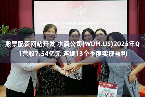 股票配资网站开发 水滴公司(WDH.US)2025年Q1营收7.54亿元 连续13个季度实现盈利